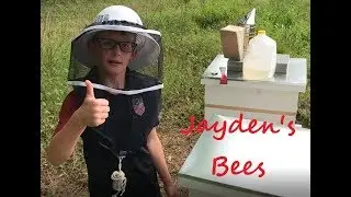 Jayden's Bees - Hive Inspection and Adding Supers