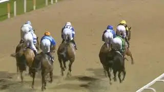 6 Race Thursday 28 Dec 2023 Newcastle