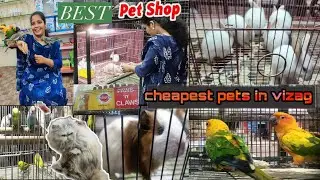 cheapest pets🐕🐇🐤🐦🦜🕊️ in vizag // Best pet shop in vizag // నేనేం తీసుకున్నాను
