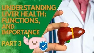 Understanding Liver Health: Functions & Importance