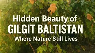 Hidden Beauty of Gilgit Baltistan | Peaceful Nature & Green Mountains #travel #gilgitbaltistan