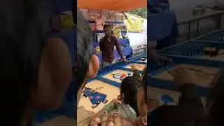 Terrace garden mela sector 33 chandigarh #mela #trending #ytshorts #youtubevideo