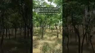 12 acre for sale with Good connectivity  #punjab#property#viral