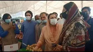 Firdoos Ashique Awan full video | Sonia sadaf | Assistant Commissioner humiliated in Public