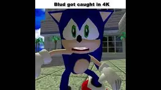 She said she was 12 #sonic #memes