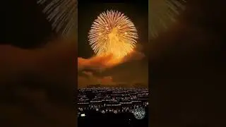 watch till the end ( best part ) #shorts #youtubeshorts #bestpart #awesomescene #heartbright #lovely