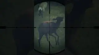 Cows invited to eat .44 lead #shorts #games #videogames #pcgaming #hunting #videogaming #thehunter