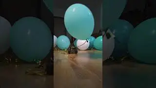 RC car, slow motion, remote control car, balloons, Happy birthday video, машинка на радиоуправлении