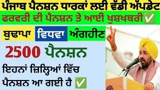 2500 ਪੈਨਸ਼ਨ #2500Pension #pension #bhagwantmann #oldagepension #punjabinews #punjabnaws #todaynews