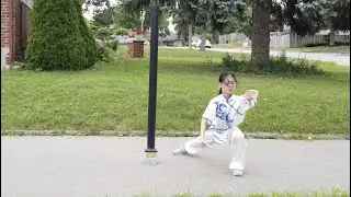Bagua Zhang, an mazing art. 小小年纪的Felicia练得八卦掌有模有样啦。