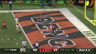 Ryan Finley runs it for a touchdown Steelers Vs Bengals