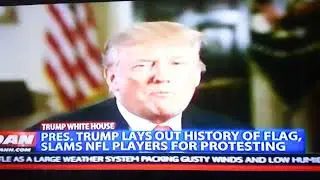 One America News just birthed, my Directv 347