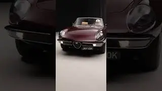 1972 Alfa Romeo Spider-R | Prugna V6 Alfaholics Masterpiece