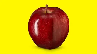 TOP 10 DES MEILLEURS VARI&Eacute;T&Eacute;S DE POMMES