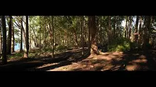 Titlow Park and Titlow Beach, anamorphic, 4K 24fps, some ASMR (brightness gets fixed later)