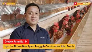 Grebek Farm Ep. 14 : 