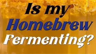 What is Fermentation and What Does it Look Like?
