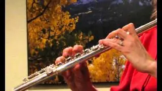 Gemeinhardt 2SP Sound Demo - Low to High Registers