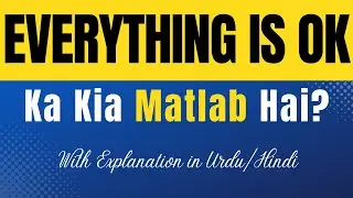 Everything Is OK Meaning in Urdu | Urdu/Hindi Explanation Included