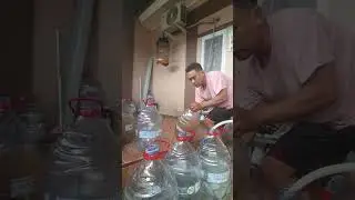 budidaya lele dalam galon