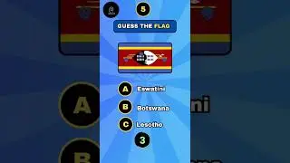 The Ultimate Flag Challenge !!🏁 #shorts