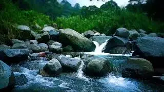 River Stream Sleep Sounds for Natural White Noise and Peaceful Night&rsquo;s Rest