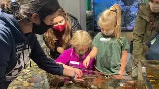 Touch Tank with Annie