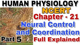 NCERT Ch-21 Neural Control and coordination Class XI Human Physiology Part 5 for Boards & NEET/AIIMS