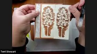 Terri Stewart Amazing Silhouettes with In Good Taste DSP