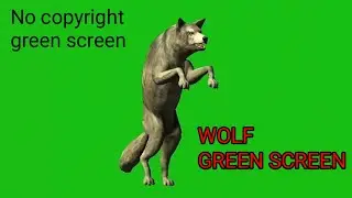 Green screen animation l Wolf howling,running Green Screen #nocopyrightgreenscreen