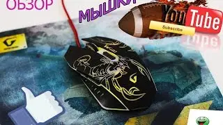 ###Покупка и распаковка мышки gemix w120 ###