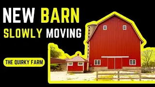 SLOWLY MOVING INTO THE NEW BARN - The Quirky Farm