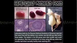 MONSANTO AND GMO'S Everything you need to know in roughly 5 minutes PROP 37 COMING SOON please share