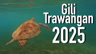 Swimming with Turtles on Gili T!!!! (Indonesia)