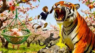 Little Farmer Monkey Raises Animals and Fight with The Tiger | Children's Cartoon