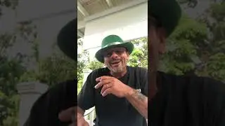 Paynes Picks