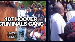 &ldquo;O.G&rsquo;s From 107 Hoover Warns All The Youngin&rsquo;s they&rsquo;re Banging Crip again!&rdquo;
