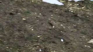 IMGP0107