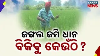 Exclusive: Tribal Land Issues In Sundargarh &ndash; Government Policies And Challenges