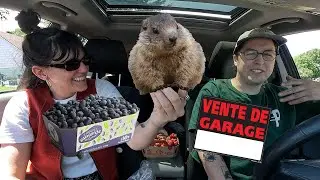 LES TRICOTS COLÈRE | ON FAIT LES VENTES DE GARAGE & ON S'EN VA À LA FERME 🥕 - VLOG -