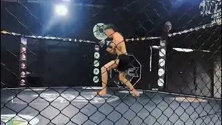 DAVID ROCK T&Aacute; FORTE | LIONS FIGHTS