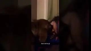 Dog licks guy's face while sleeping #shorts #dog