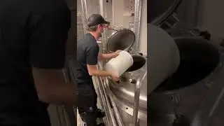 traditional beer making #carlsberg 🍺 #danmark 🇩🇰 #denmark