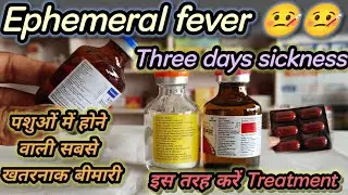 Ephemeral Fever🤒 / Three Day Sickness || यह बीमारी सबसे ज्यादा पशुओं में फैल रही है इस तरह करें इलाज