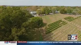 Check out this vineyard in Missouri wine country