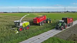 Mais 2023 / Claas Jaguar / Breure - De Waard / Maize silage