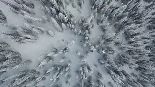 Off the grid winter escape & world class BC backcountry power Purcell Mountain Lodge, Golden, B.C..