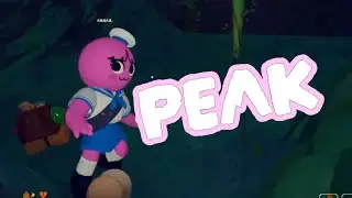 2026！！新年一発目登山【PEAK】 #28