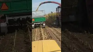 kiszonka z qqrydzy #c360 #zetor #7211 #case #pracepolowe