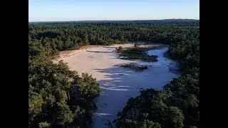 Bird's-eye view through nature